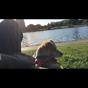 Meet your Posher, Max